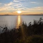 Magnolia Viewpoint