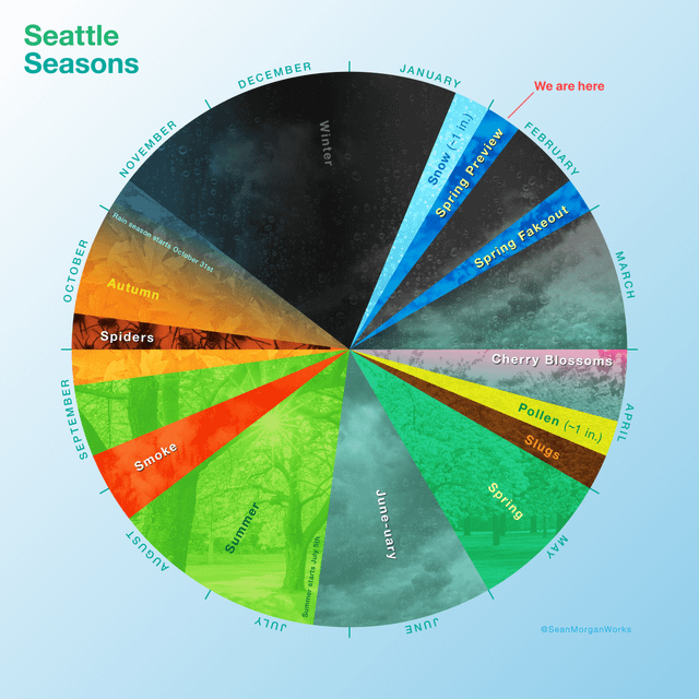 Almost felt like spring this week