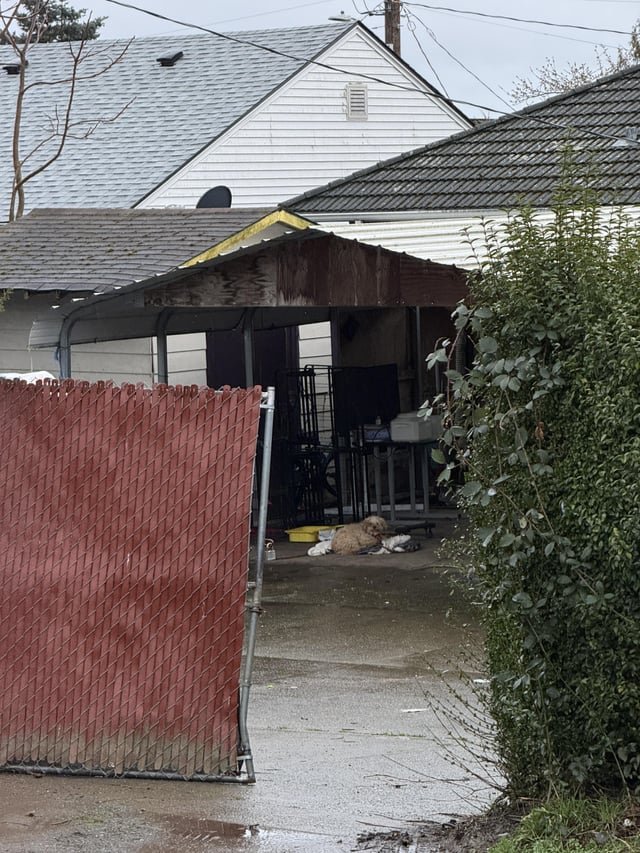 Advice on potential animal neglect situation