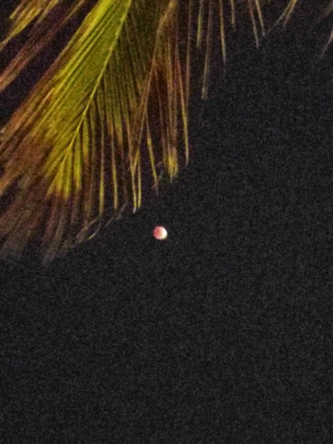 From one WSB reader who did see the lunar eclipse