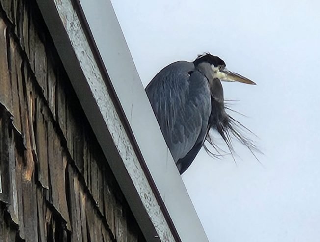 Change-of-seasons sunset watch and more for your West Seattle Wednesday