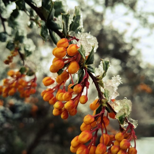 From tax help to games to music, here’s our list for your West Seattle Monday