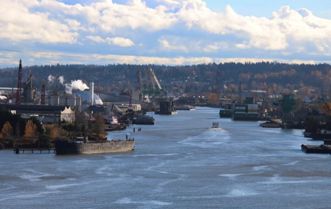 Surprise discoveries, common challenges: Duwamish River habitat-restoration leaders gather to compare notes