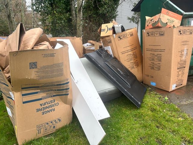 Need to get these boxes and some electronic items removed? Any recommendation of affordable way to get rid of it.