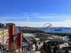I ❤️ downtown Seattle. I ❤️ fake spring.