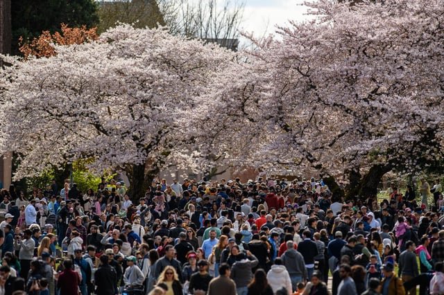 UW Quad. 1500. 3/21/26.