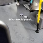 High-risk bus snack.