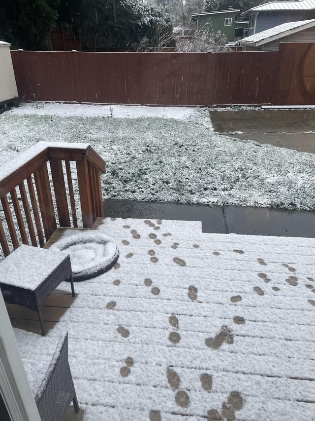 Help getting rid of white mold.