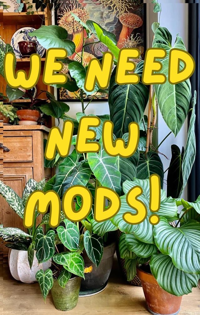 Live in Seattle? Love plants? Love Reddit? Please apply!