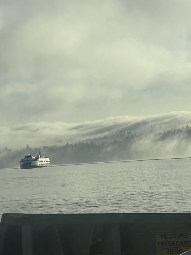 Ferry was busy but beautiful this morning