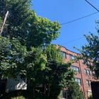 can someone help me find where i took these pictures?