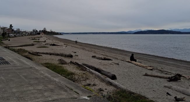 Fauntleroy Community Association’s Food Fest annual meeting, SSC’s online Aviation Maintenance info session, much more for your West Seattle Tuesday