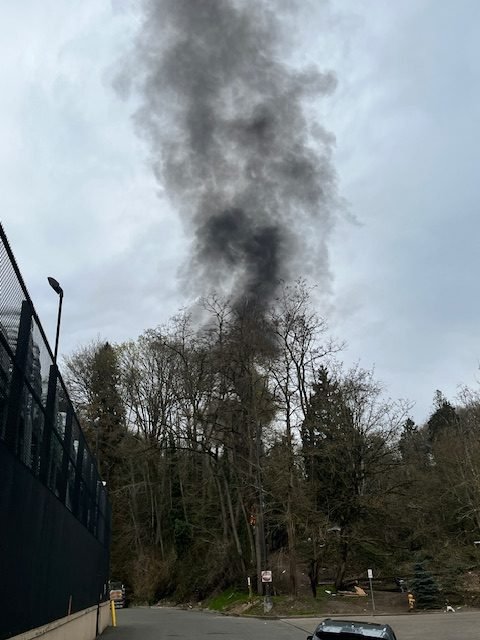 UPDATE: Another fire in woods behind Home Depot