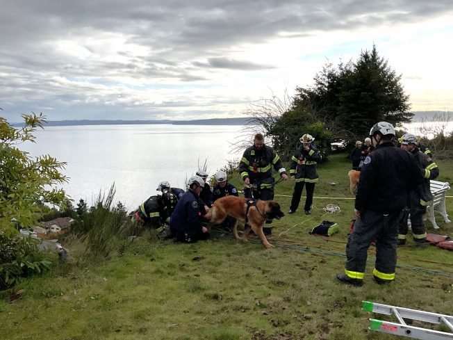 FOLLOWUP: See how SFD’s double-dog rescue ended