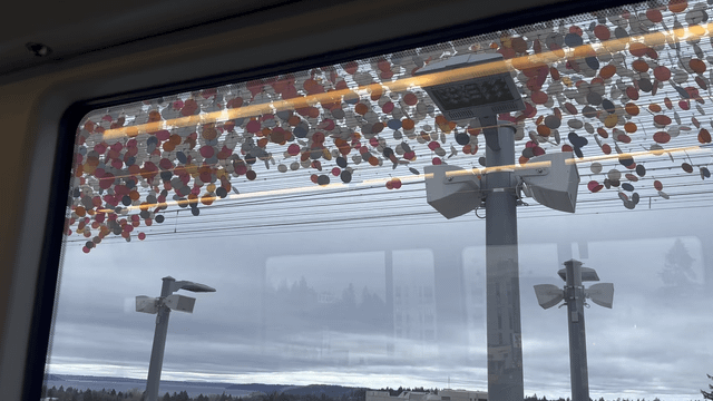 Art on the light rail.