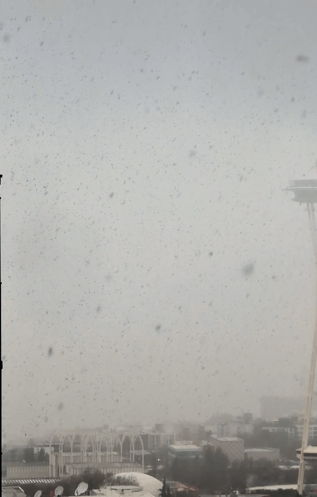 sNOw place like home ❄️🌨️