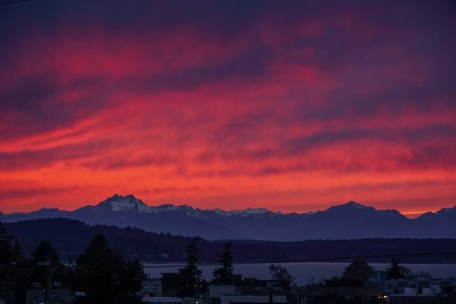 ‘No Kings’ rallies, egg hunts, much more for your West Seattle Saturday