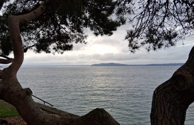 TRAFFIC, WEATHER, TRANSIT: Friday, with spring arriving