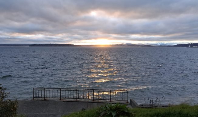 WEST SEATTLE SUNDAY: 21 possibilities!