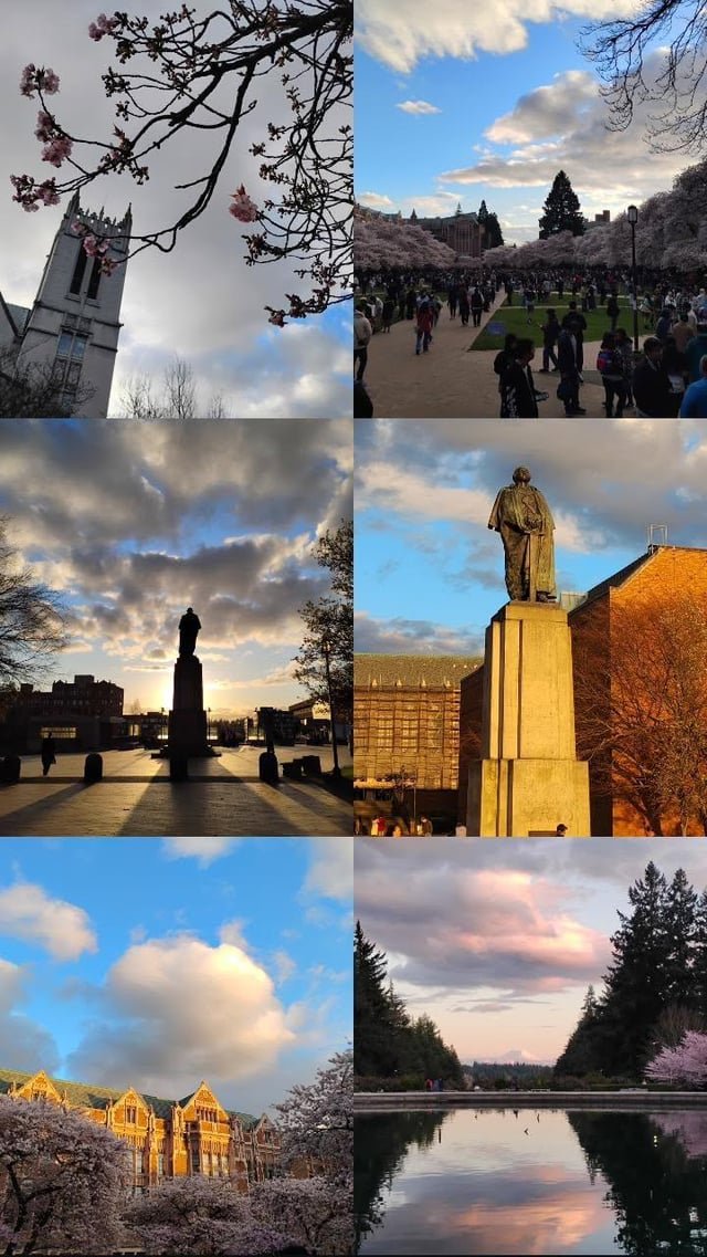 Some shots I took of UW today