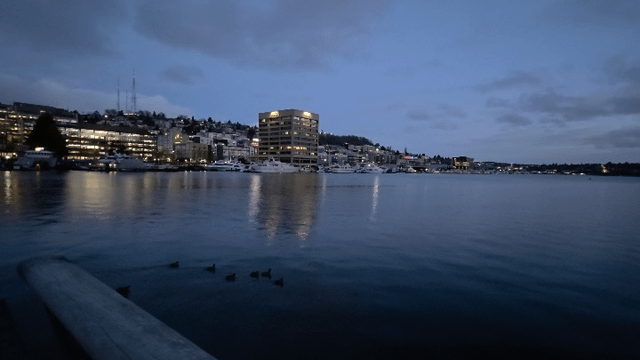 Peaceful mornings at Lake Union