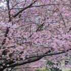 It’s almost that time of year again