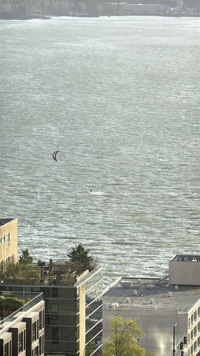 Seattle got a glimpse of sun and this person forgot it’s still cold