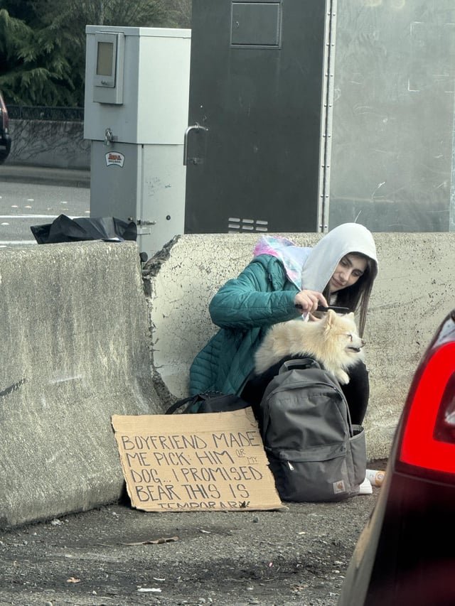 “Boyfriend made me pick him or my dog…” — saw this sign near Westfield Mall in Seattle