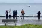 A newly identified group of orcas cruised by Alki Beach today during their first visit to the Puget Sound