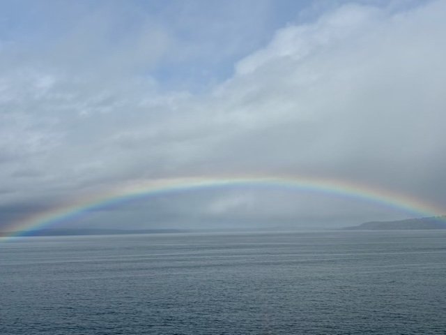 SPRING 2026: The West Seattle way to welcome upcoming season change