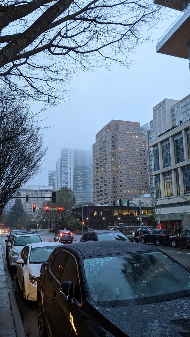 Bellevue in the Rain