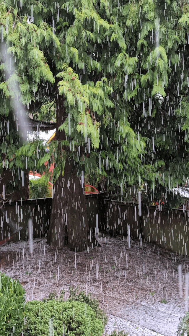 This hail is crazy