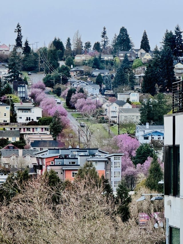 Spring is Blossoming Around Seattle