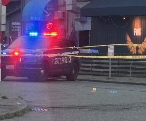 WEST SEATTLE CRIME WATCH: Gunfire on Alki