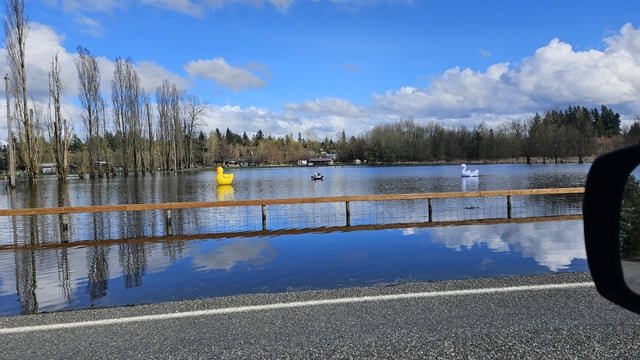 Meanwhile in South King County…