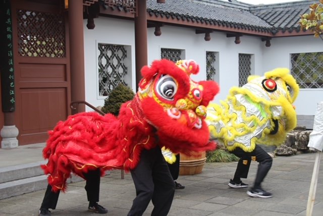 HAPPENING NOW: Here’s what you can do during Seattle Chinese Garden’s New Year Lantern Festival