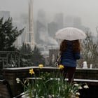 Nature is confused about the snow today