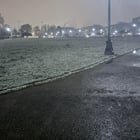 Cal Anderson Park right now.