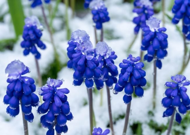 WEST SEATTLE SATURDAY: 32 notes!