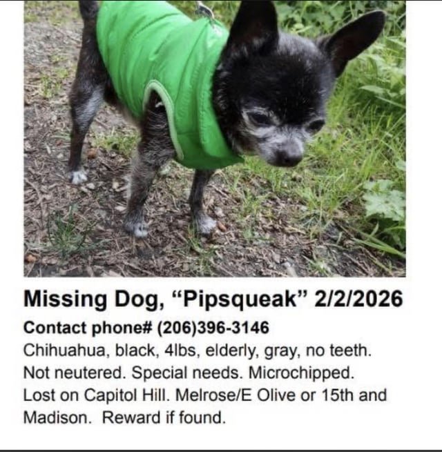 Help find Pipsqueak