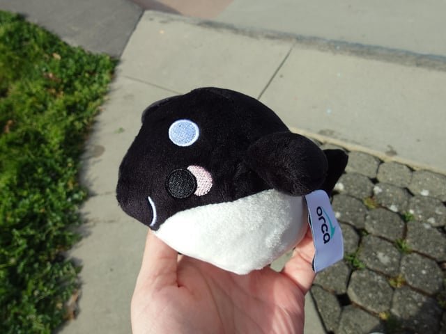 Whoever said objects can’t bring happiness obviously never had a Boop plushie