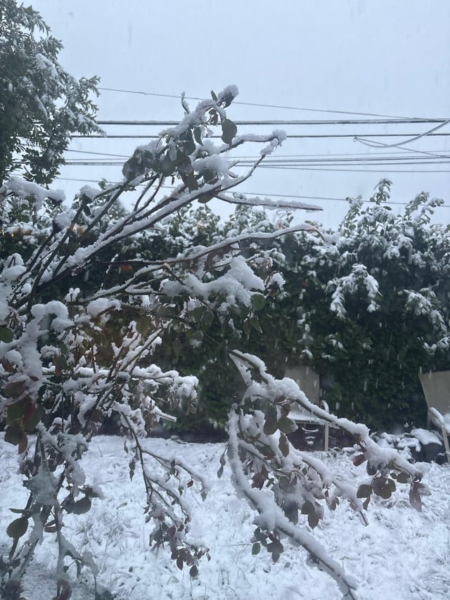 I’m never leaving… my neighborhood (South Park)