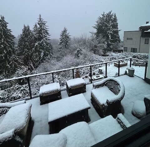 WEST SEATTLE SNOW: Updates including closures, changes