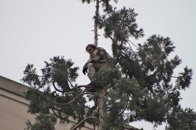 Man in Tree. It’s been 10 years.