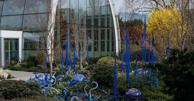 Man Arrested After Valuable Glass Artwork Is Shattered at Seattle Museum