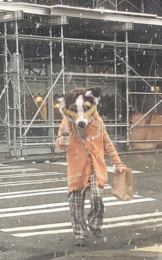 Just your typical snowy day on Capitol Hill.