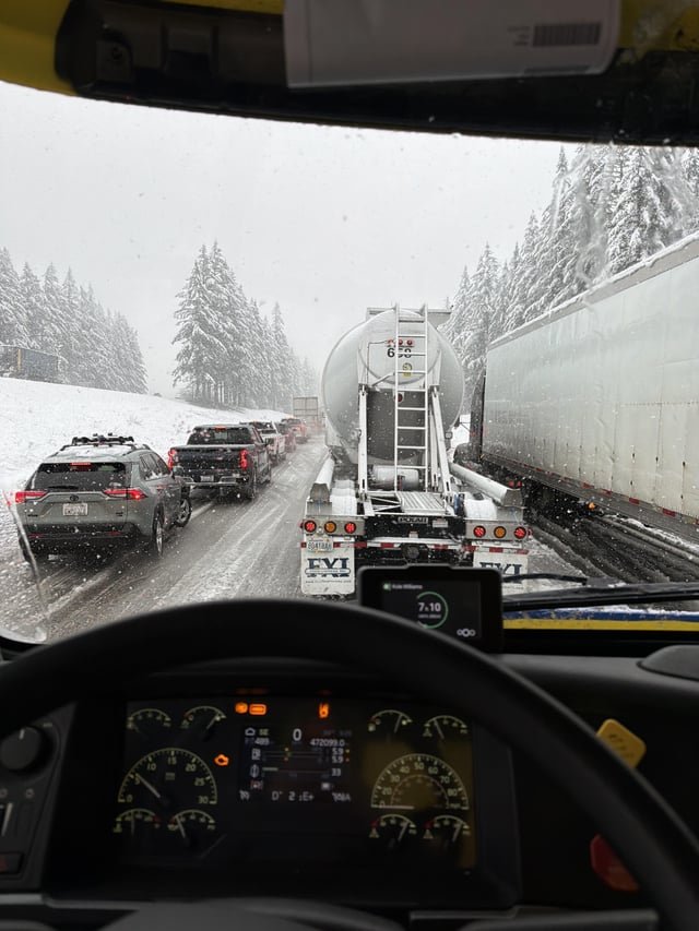 Why would Katie Wilson do this?