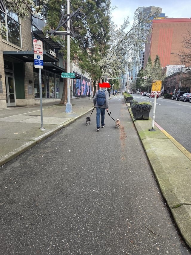 Downtown bike lane, never leaving Seattle…