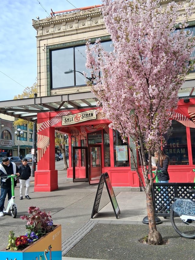 Cherry Tree blossoms on Pike & the new “Salt & Straw” shop