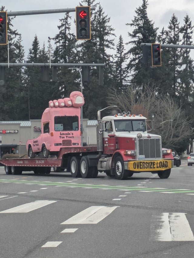 Seattle Icon Spotted on SR202